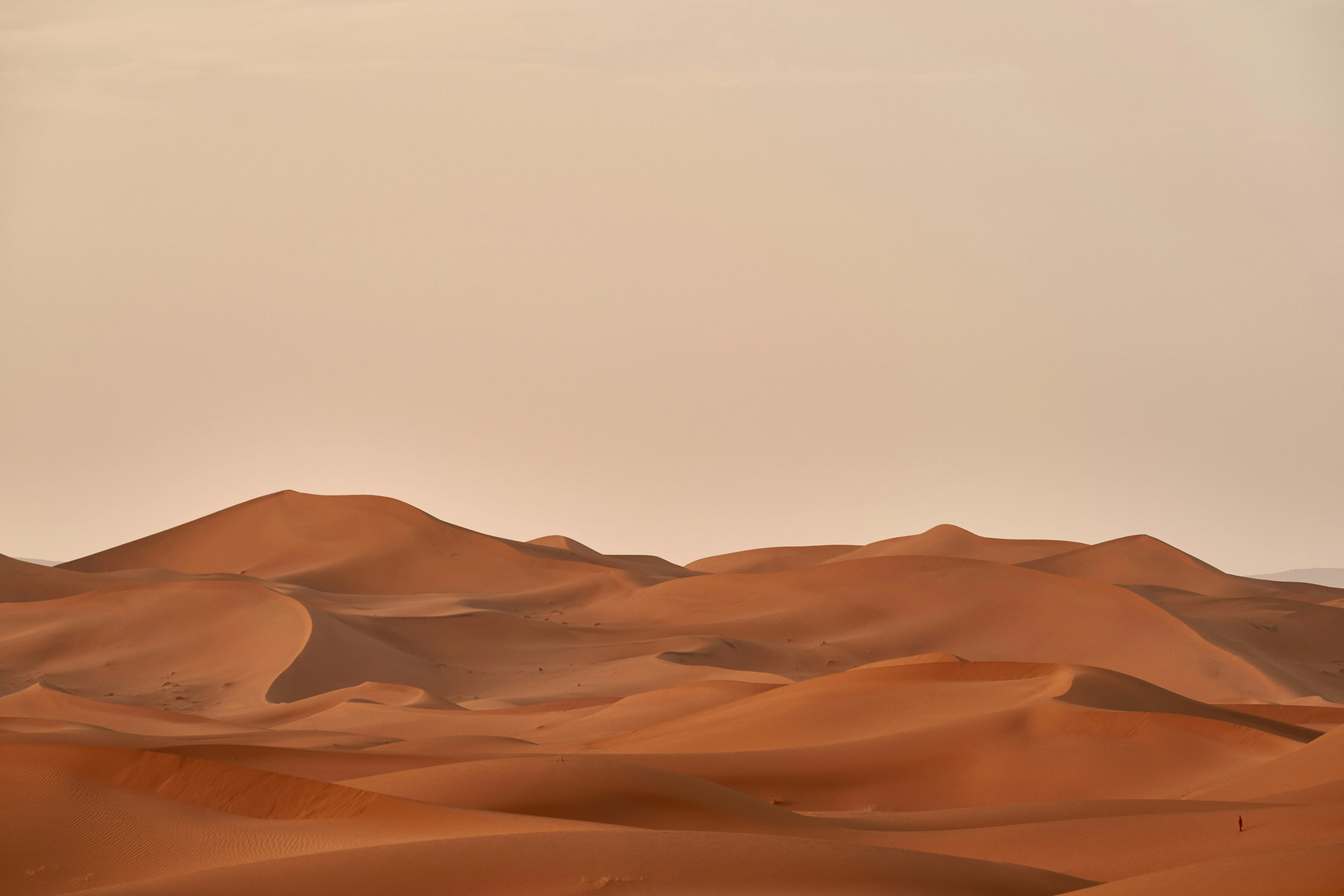 Libyan Desert